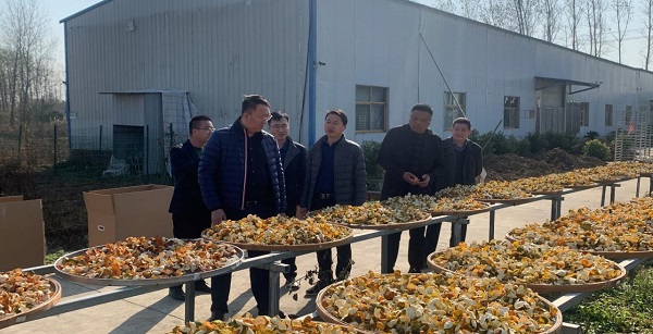 1639360516227035.jpg 尊龙时凯·(中国)人生就是搏!